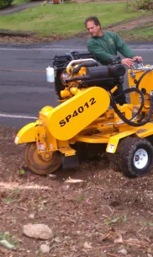 A person is using a stump grinder to cut down trees.