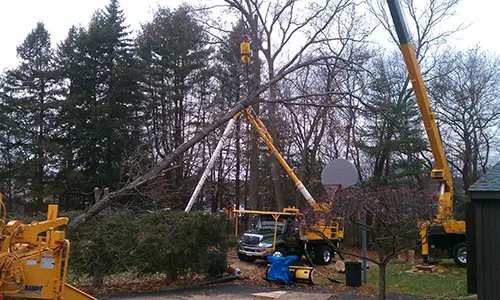 A crane is in the back of a truck.