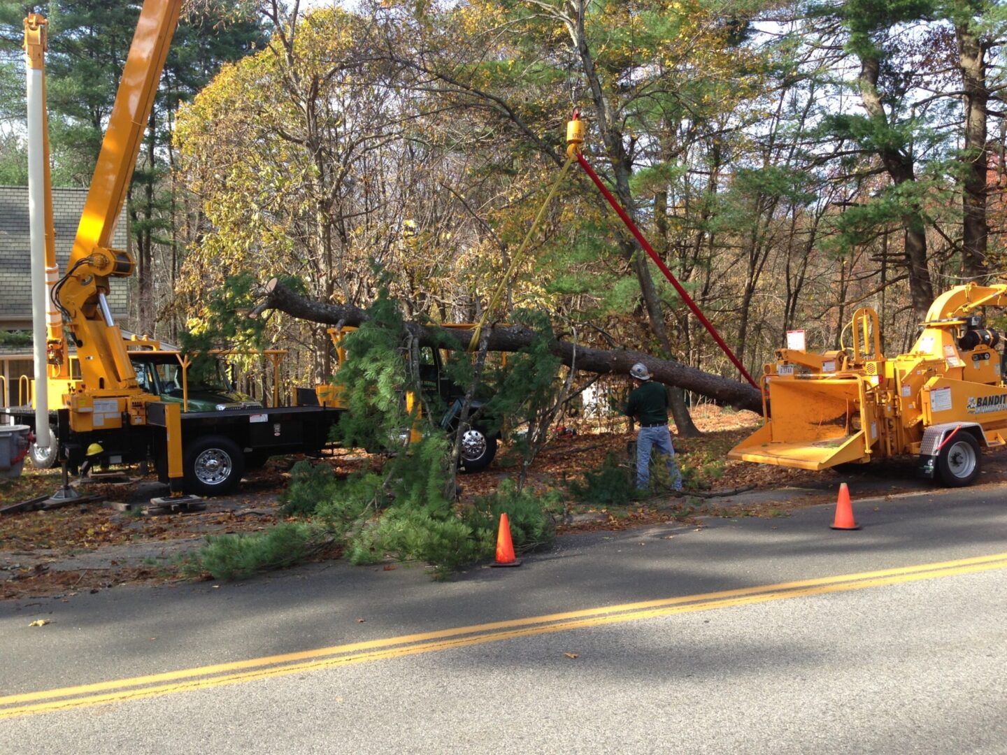 A crane is lifting up trees on the side of a road.