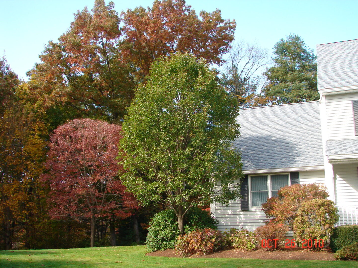 A house with trees in the background and bushes around it.