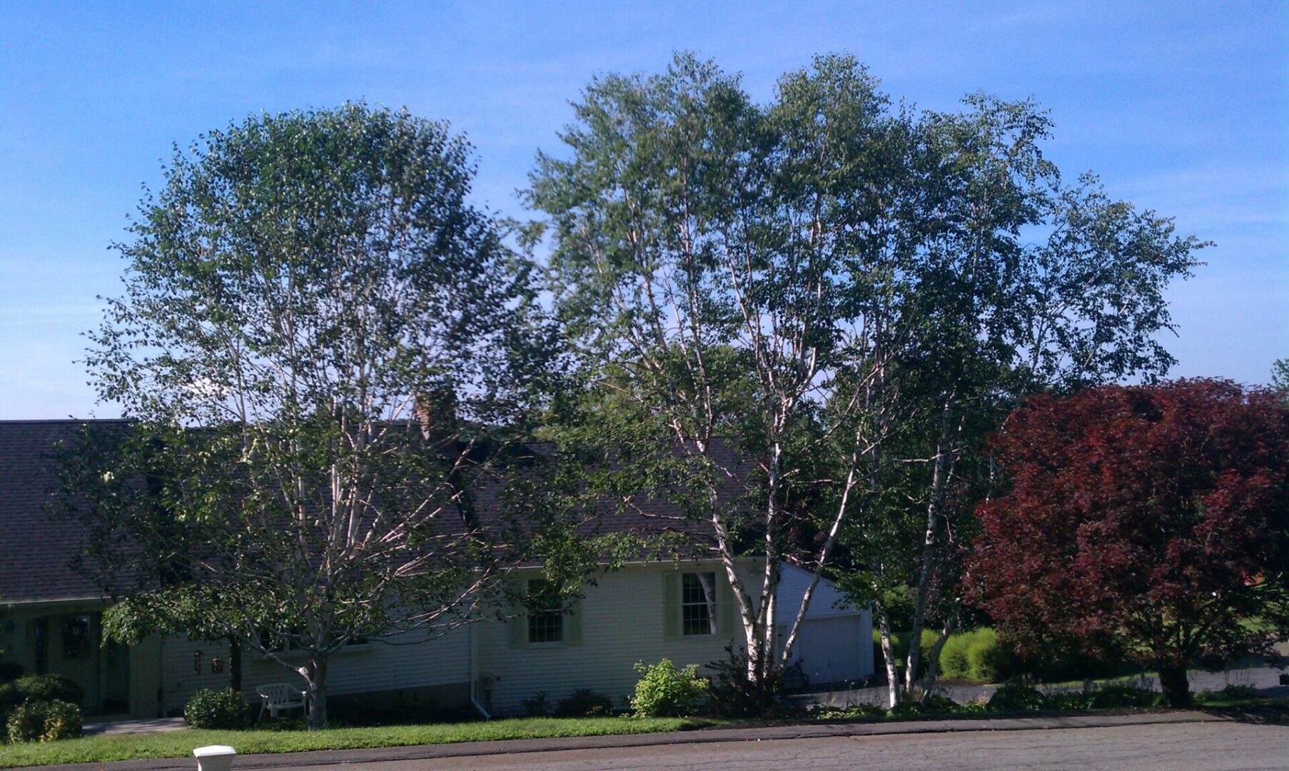 A house with trees in the background and a building